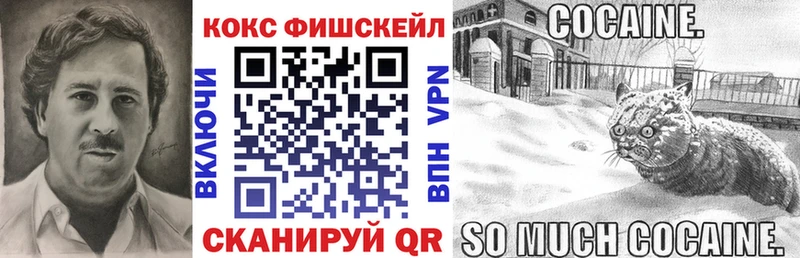 Cocaine Fish Scale  Купить  Всеволожск 