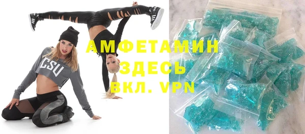 индика Арсеньев