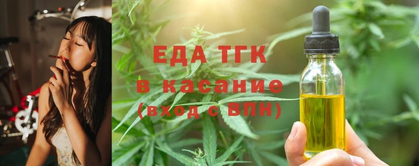 индика Арсеньев
