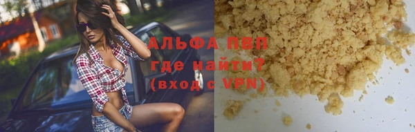 индика Арсеньев