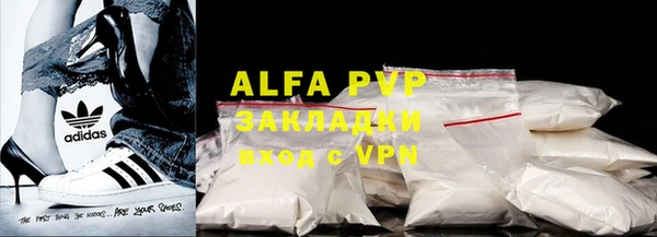 индика Арсеньев