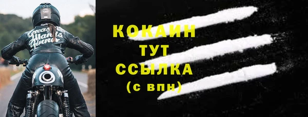 PSILOCYBIN Аркадак