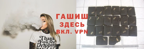 индика Арсеньев