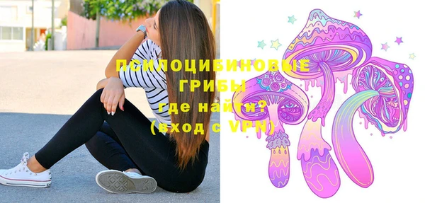 индика Арсеньев
