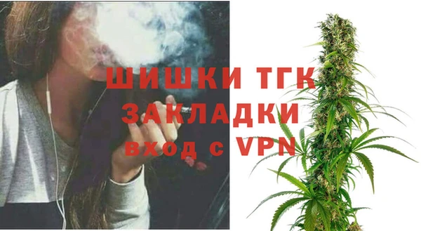индика Арсеньев