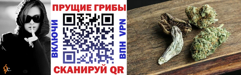 Псилоцибиновые грибы ЛСД Купить Всеволожск
